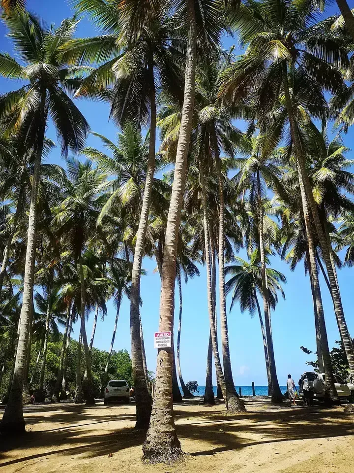 playa viejo oscar parkovani
